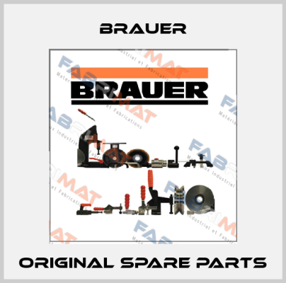 Brauer