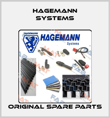 Hagemann Systems