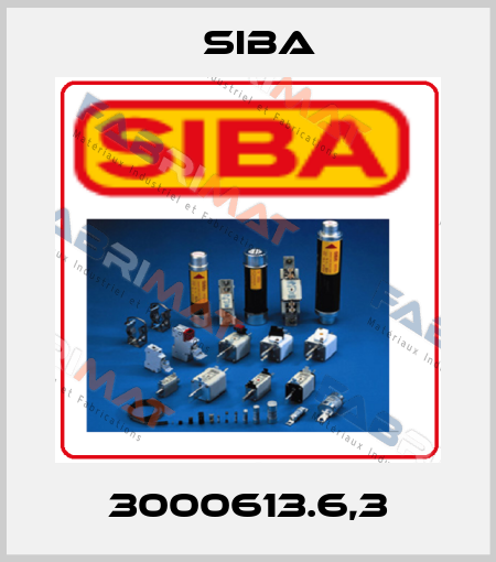 3000613.6,3 Siba