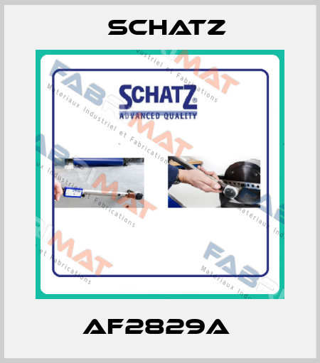 AF2829A  Schatz