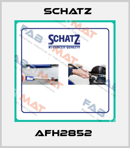 AFH2852  Schatz