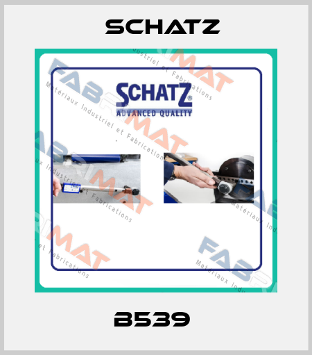 B539  Schatz