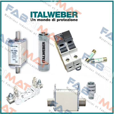 0102502 Italweber