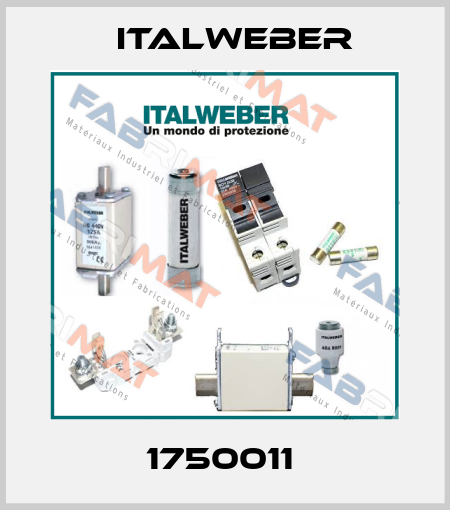 1750011  Italweber