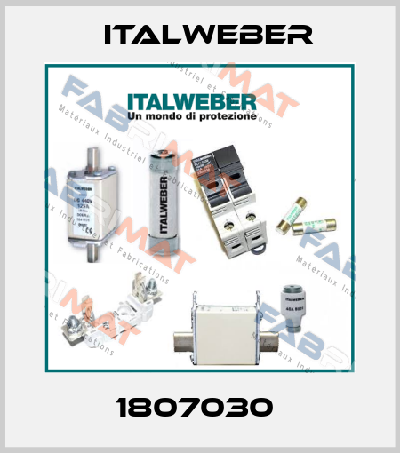 1807030  Italweber