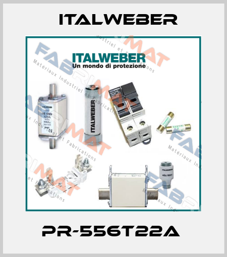 PR-556T22A  Italweber