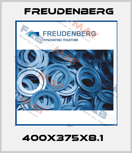 400X375X8.1   Freudenberg