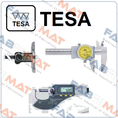 4331 Tesa