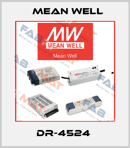 DR-4524  Mean Well