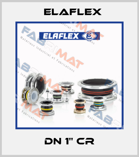 DN 1" cr Elaflex