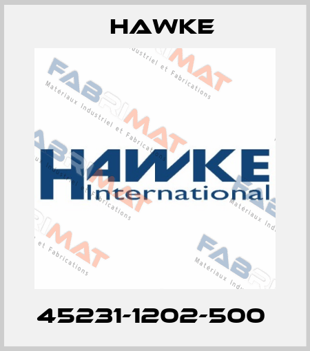 45231-1202-500  Hawke