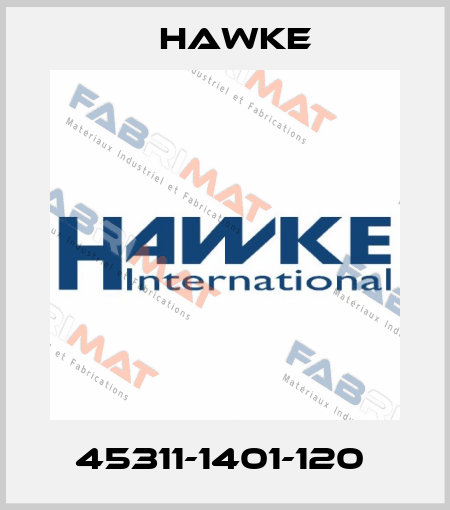 45311-1401-120  Hawke