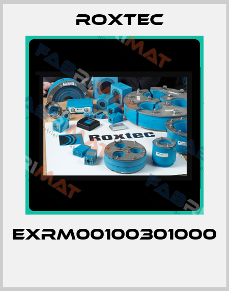 EXRM00100301000  Roxtec