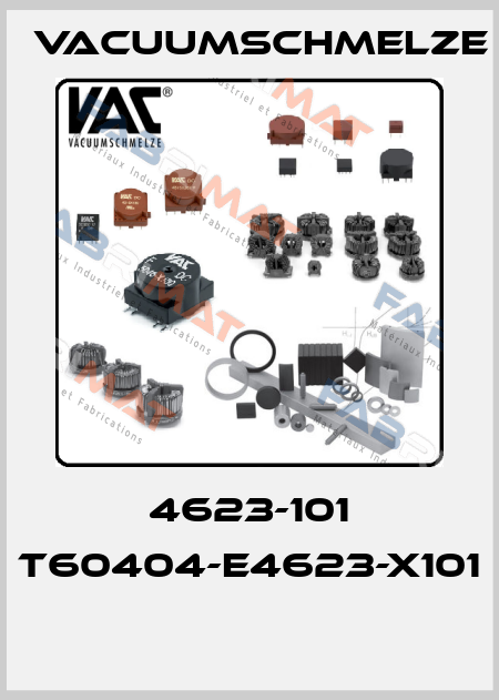 4623-101 T60404-E4623-X101  Vacuumschmelze