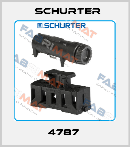 4787  Schurter