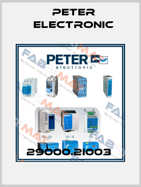 29000.2I003  Peter Electronic