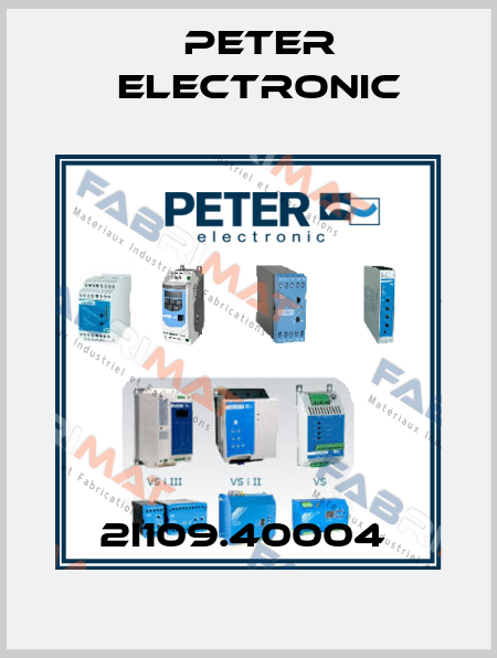 2I109.40004  Peter Electronic