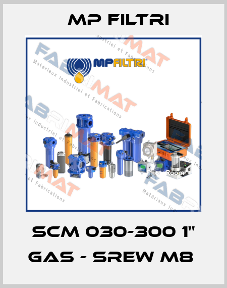 SCM 030-300 1" GAS - SREW M8  MP Filtri