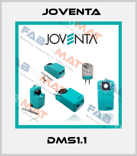 DMS1.1  Joventa