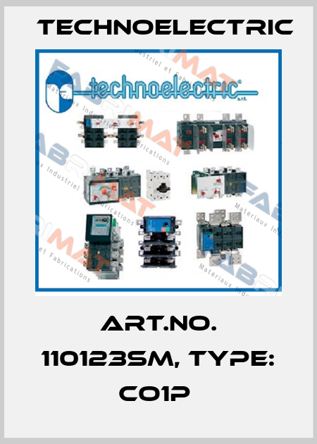 Art.No. 110123SM, Type: CO1P  Technoelectric