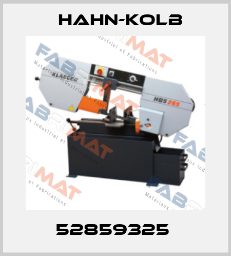 52859325  Hahn-Kolb