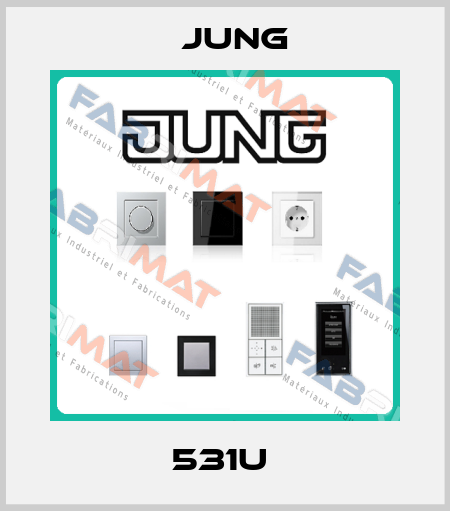 531U  Jung