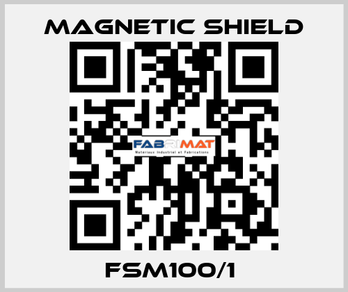 FSM100/1  Magnetic Shield