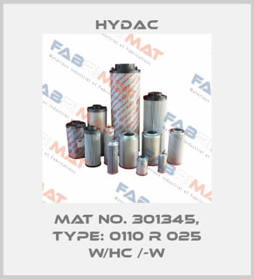 Mat No. 301345, Type: 0110 R 025 W/HC /-W Hydac