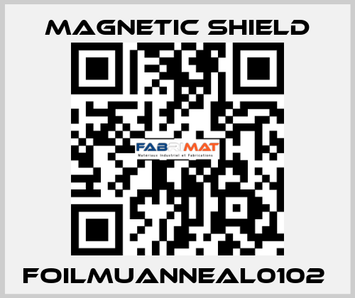 FOILMUANNEAL0102  Magnetic Shield