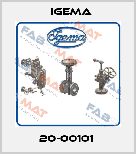 20-00101  Igema