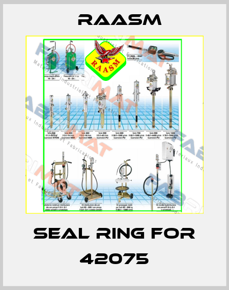 Seal ring for 42075 Raasm