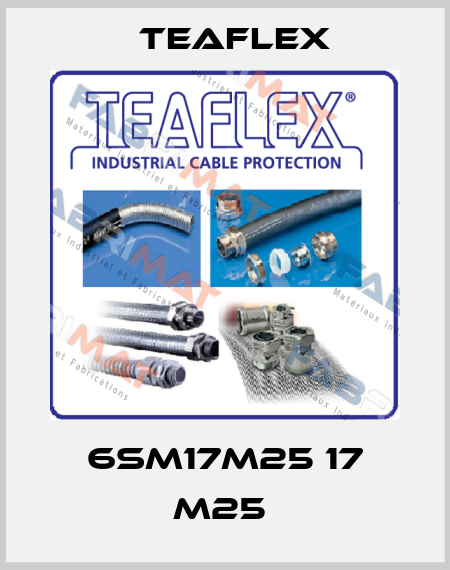 6SM17M25 17 M25  Teaflex