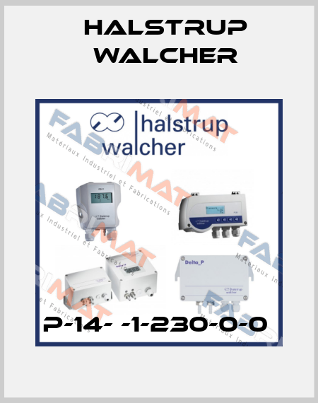 P-14- -1-230-0-0  Halstrup Walcher