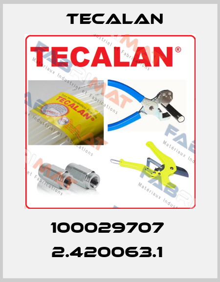 100029707  2.420063.1  Tecalan