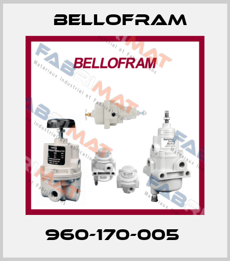 960-170-005  Bellofram