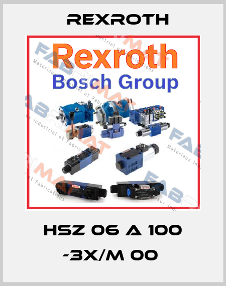 HSZ 06 A 100 -3X/M 00  Rexroth