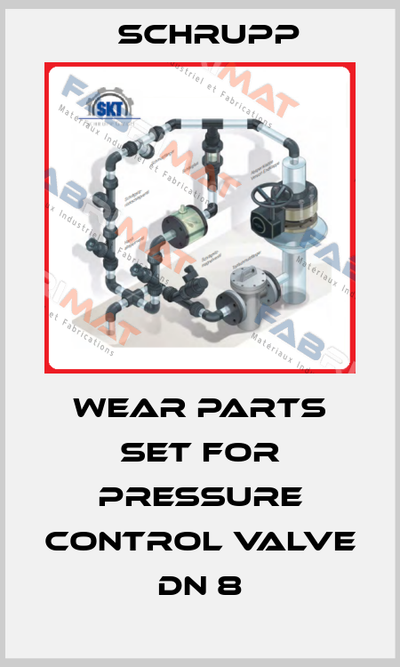 Wear parts set for pressure control valve DN 8 Schrupp