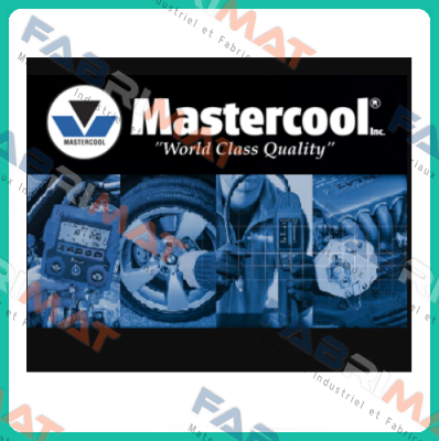 33636-E  Mastercool Inc