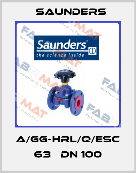 A/GG-HRL/Q/ESC 63   DN 100 Saunders