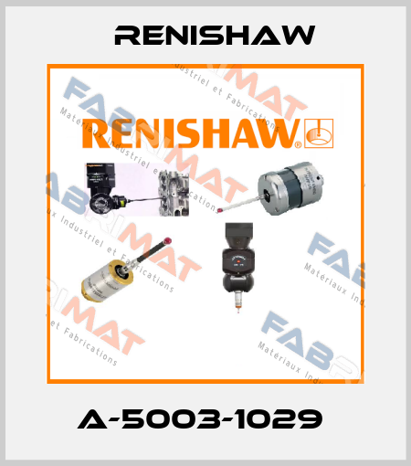 A-5003-1029  Renishaw