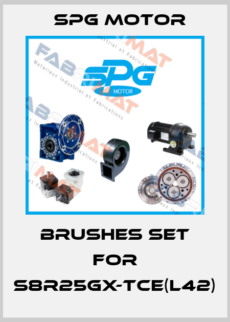 Brushes set for S8R25GX-TCE(L42) Spg Motor