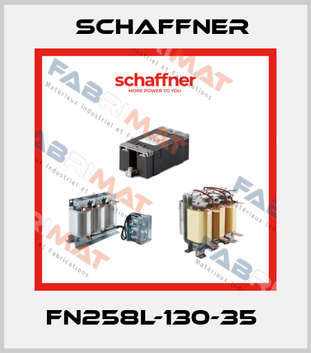 FN258L-130-35  Schaffner