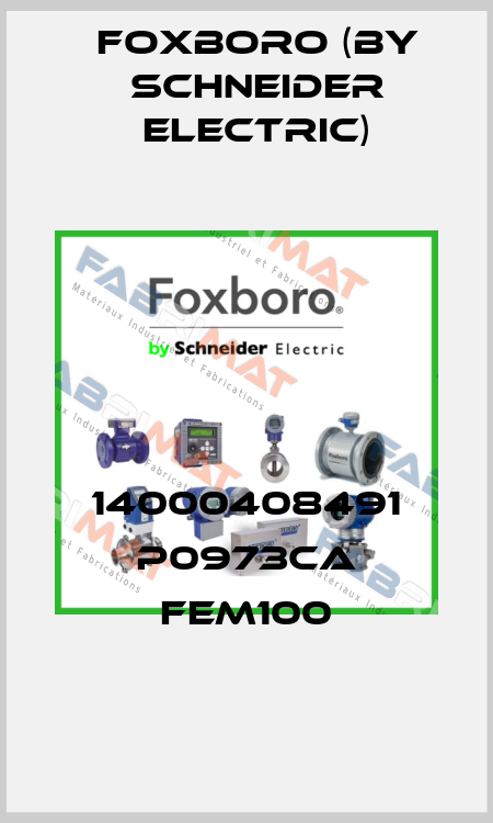 14000408491 P0973CA FEM100 Foxboro (by Schneider Electric)