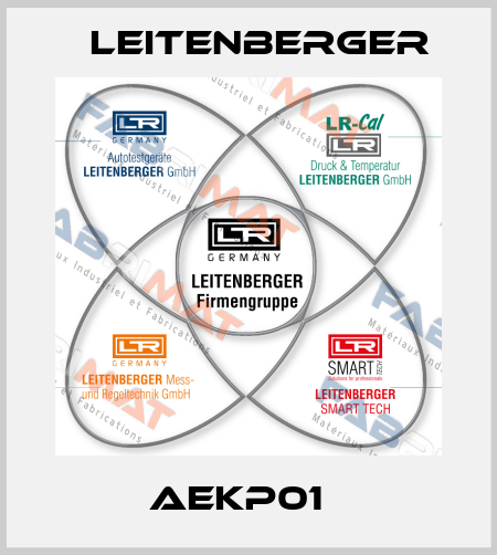 AEKP01   Leitenberger