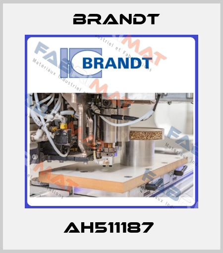 AH511187  Brandt