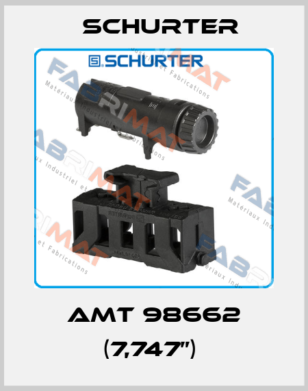 AMT 98662 (7,747”)  Schurter
