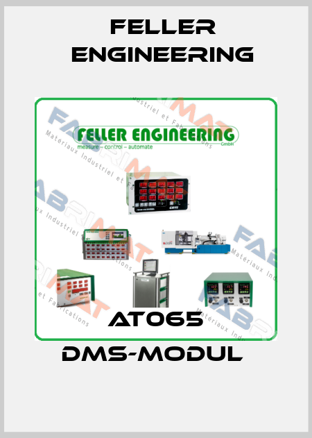 AT065 DMS-Modul  Feller Engineering
