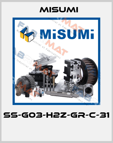 SS-G03-H2Z-GR-C-31  Misumi