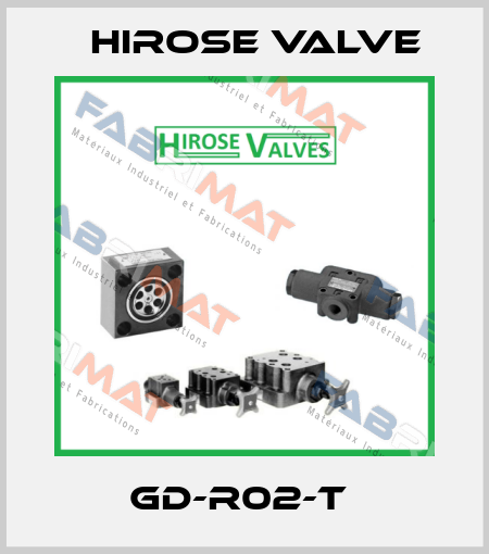 GD-R02-T  Hirose Valve