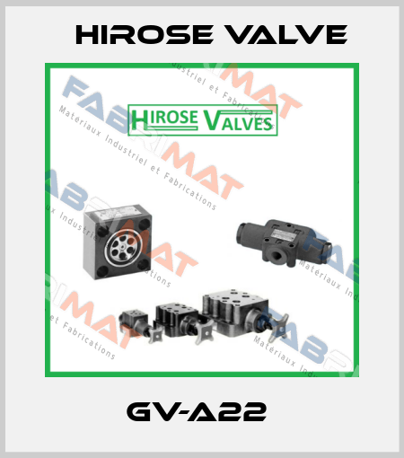 GV-A22  Hirose Valve
